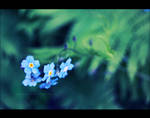 :Remember Me: by snarto