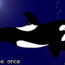 the orca