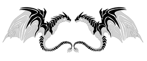 Black and White Dragons Mighty Stare off
