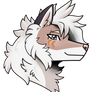 Savve Headshot
