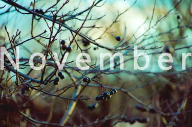 november