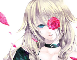 Ia Rose