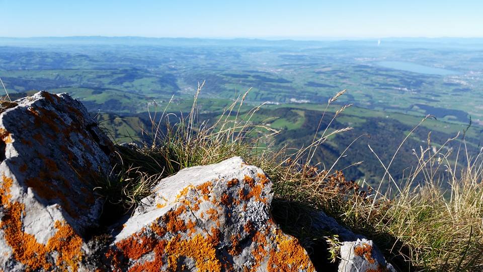 Peeking Over The Edge