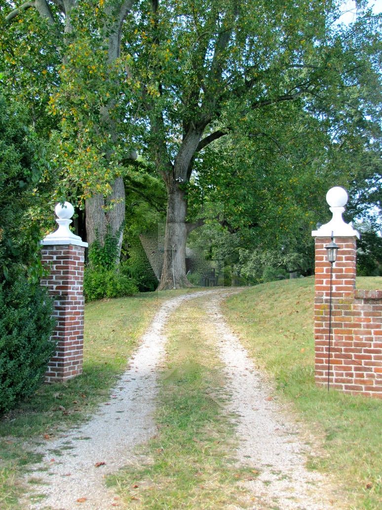 Path Less Desing Model The Path Less Taken by PamelaSoperPhotograp on DeviantArt