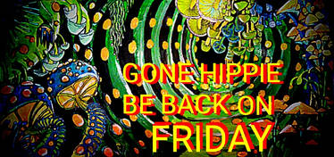 GONE HIPPIE BE BACK ON FRIDAY
