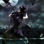 The Crow's Mission