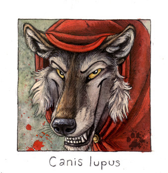 Canis lupus