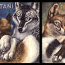 Tani and Nightfox Badges