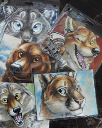 AnthroCon 2013 Ready-To-Wear Badges
