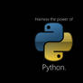 Harness the power of Python