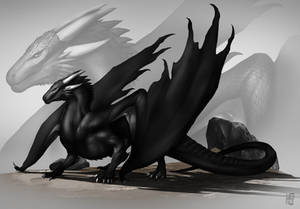 Black Dragon