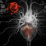 The Heart Of The Rose