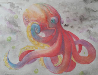 octopus 