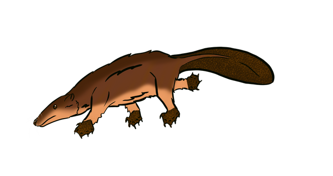 Explore the Best Castorocauda Art | DeviantArt