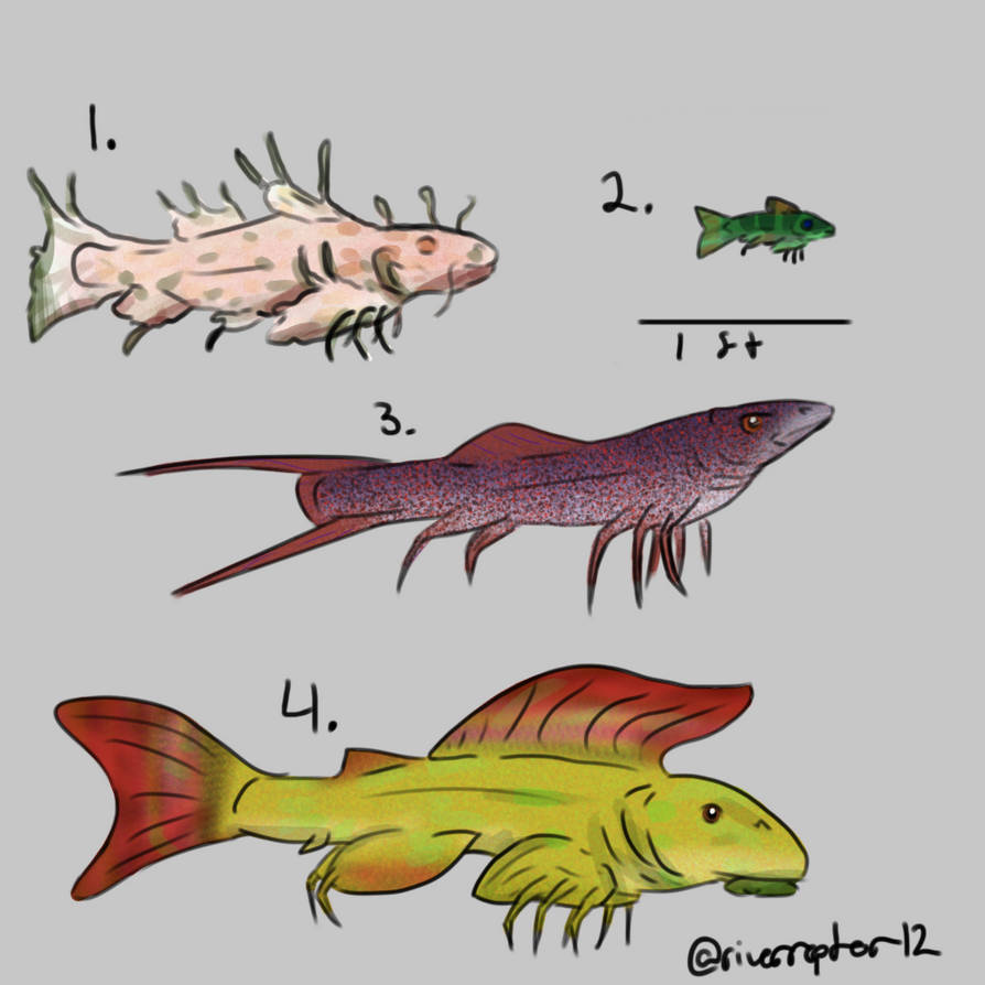 Spindle Patterned Fish A Selection of Spindlefish by riverraptor12 on DeviantArt