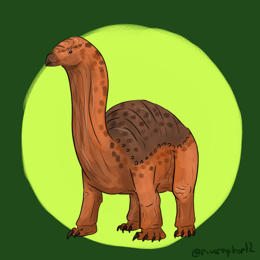 Toril Raton TFIW: Toraton by riverraptor12 on DeviantArt