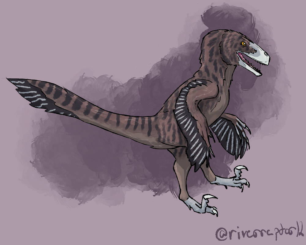Pouncing Raptor Outline Pounce by riverraptor12 on DeviantArt