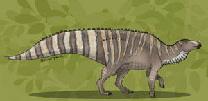 Sail-tail Dragon