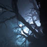 Witchwinter: Dread Trees (Concept)