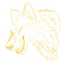 Wolf sketch