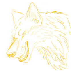 Wolf sketch