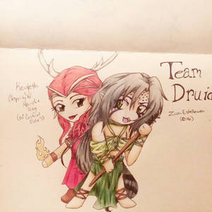 Team Druid