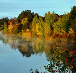 Misty Morning Lake View by Black-Sylver