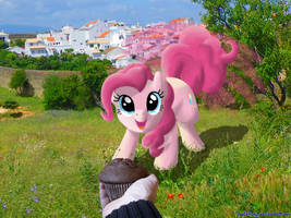 Meet Pinkie? Feed her a muffin