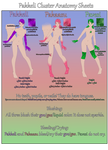 Pakkeli-Cluster Facts and Anatomy by PakkeliAdmin