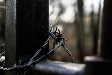 Barbed wire