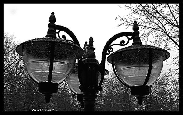 LampPost in BlackandWhite 2 by PridesCrossing
