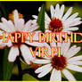 Happy Birthday Virpi
