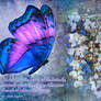 A Butterfly Dreams