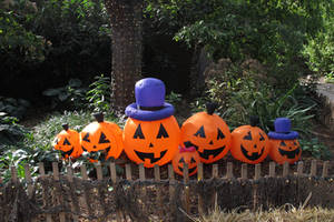 BOO AT THE ZOO 2