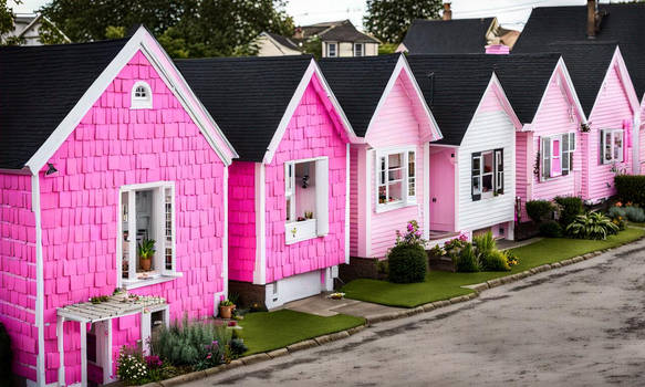 Little Pink Houses 