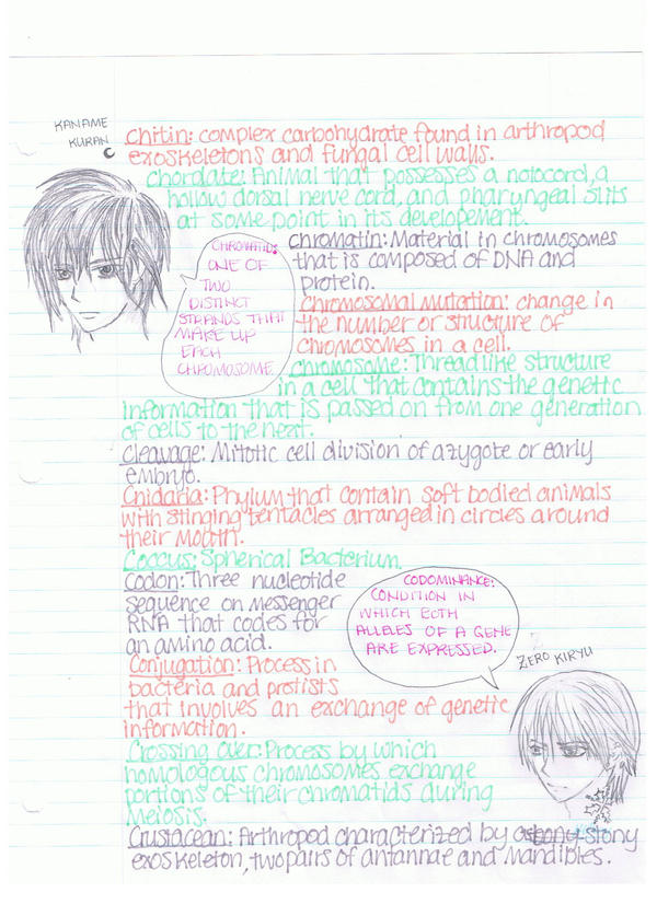 Bio Notes. by Lianneimnida on DeviantArt