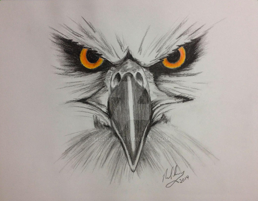 Hawk face by mcdoss on deviantart Hawk face by mcdoss on deviantart