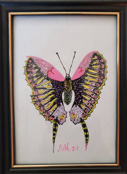 Butterfly free to fly
