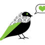 Love Bird