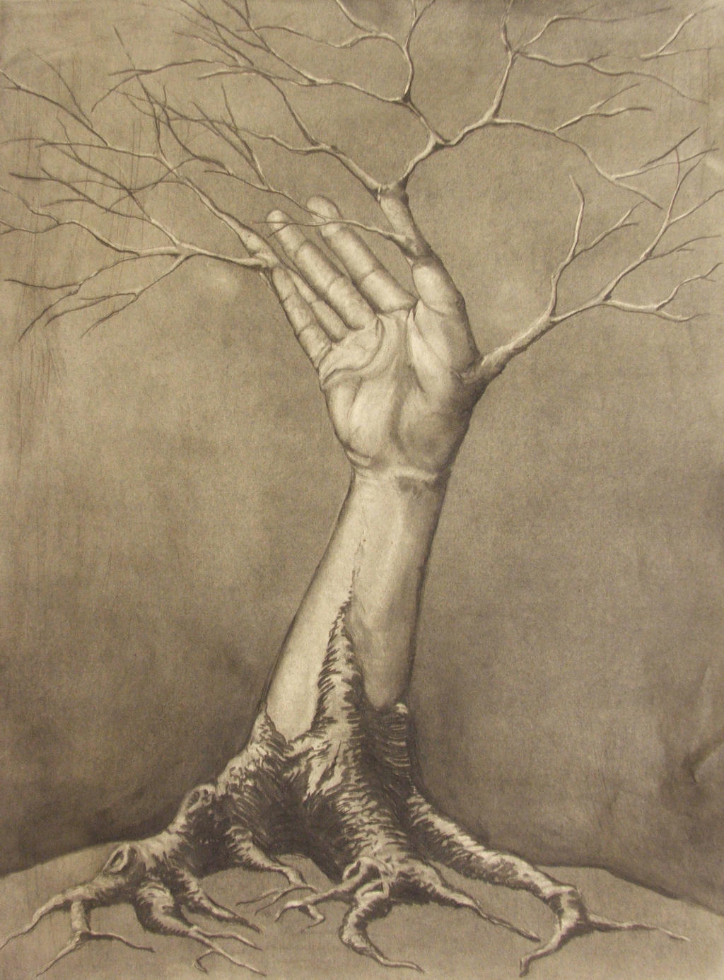 Tree Limb.