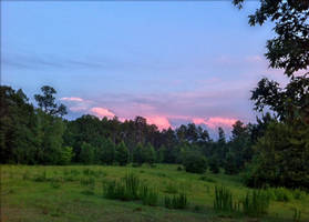 Evening Clouds