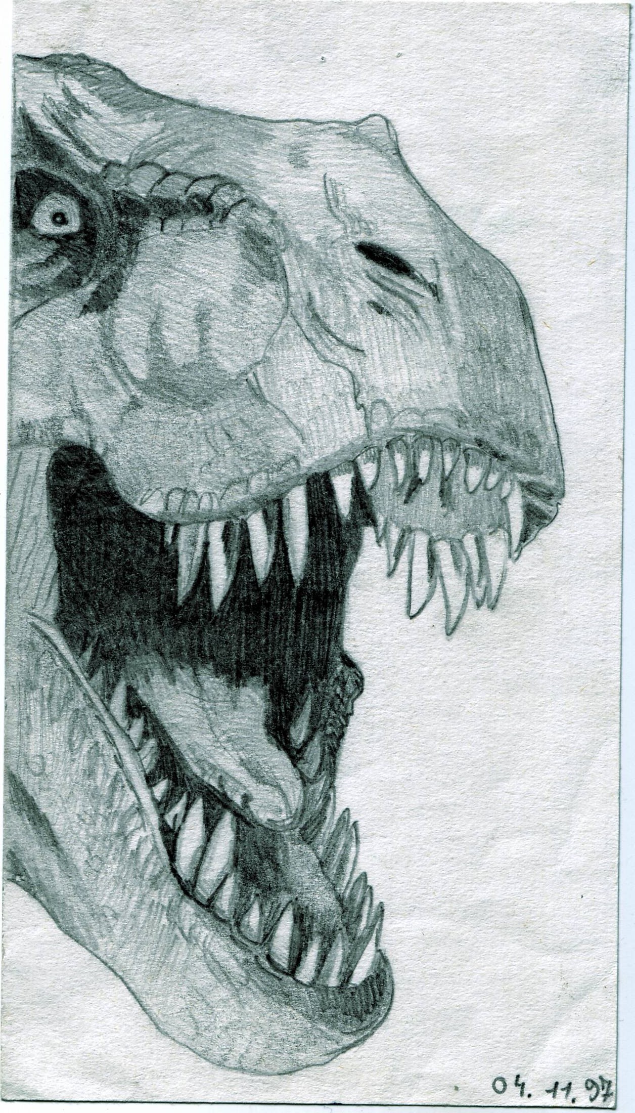 Tyrannosaurus rex