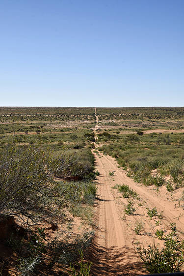 Only one track across the Simpson Desert