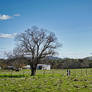 Farmland Victoria