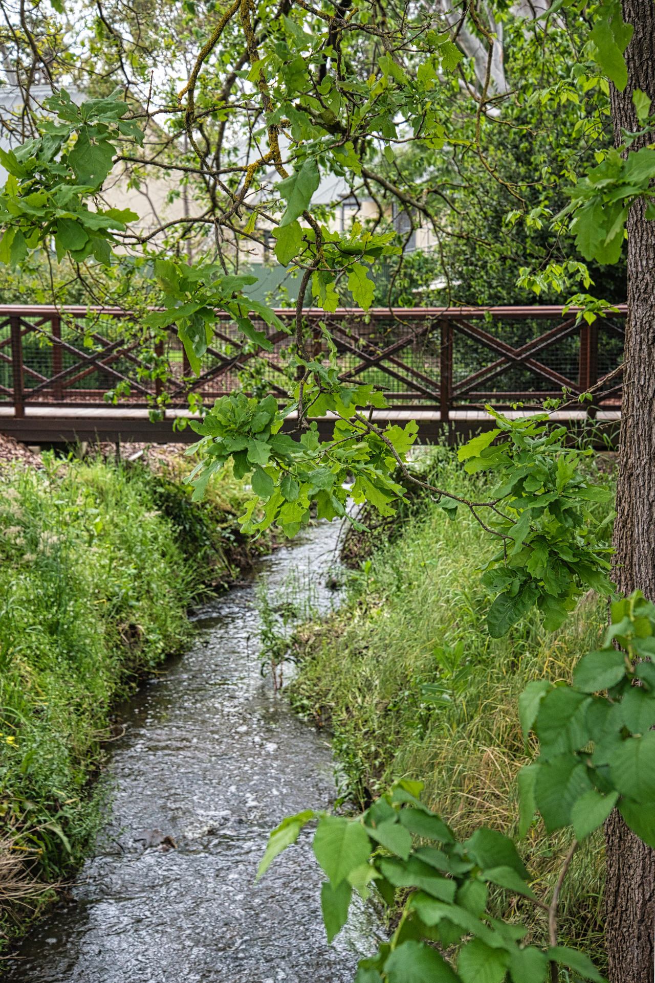 Rivulet by kllebou on DeviantArt