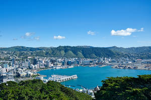 Wellington Harbour