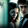 Harry Potter 12