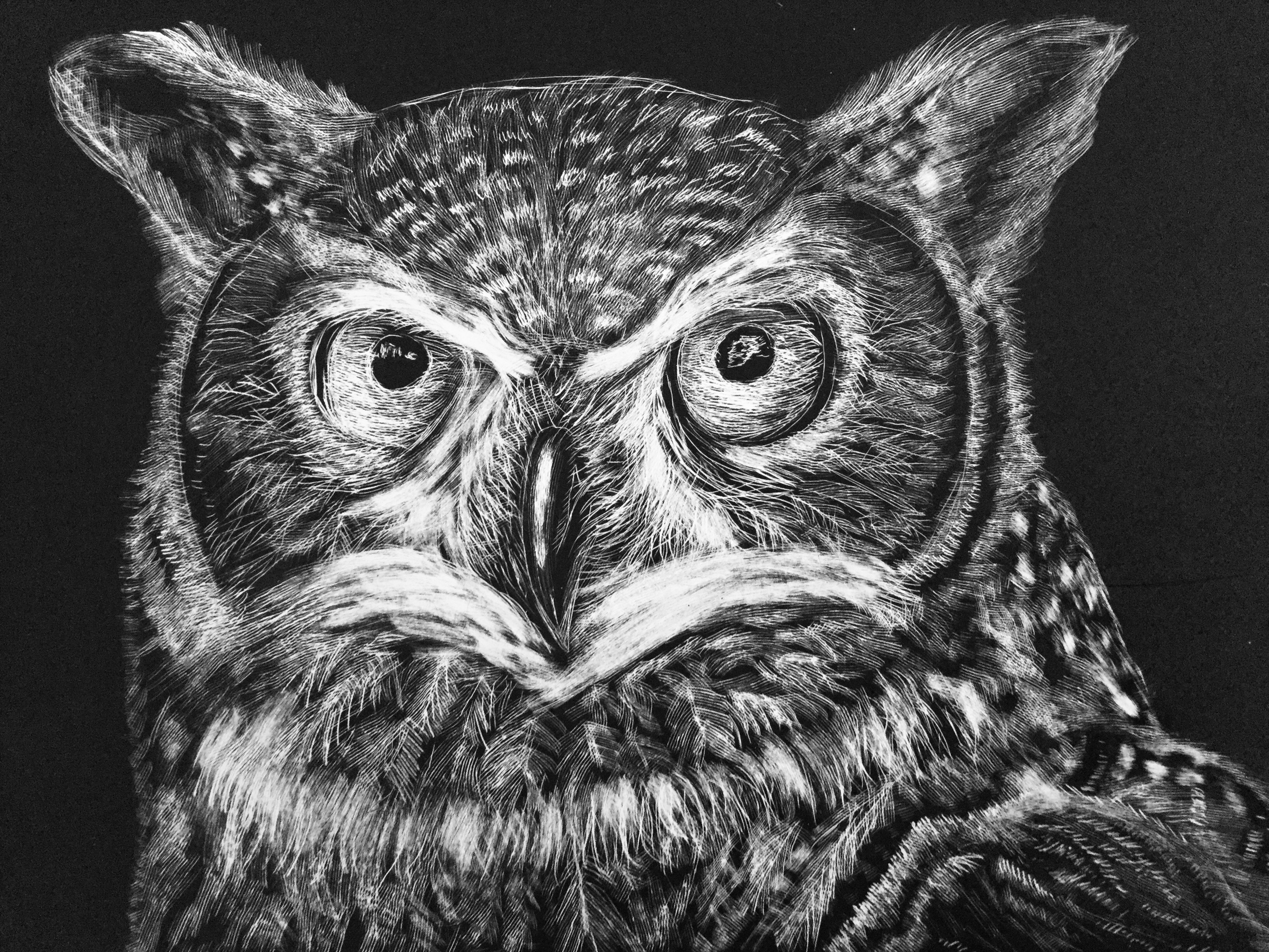 Owl scratchboard art by Aceliight on DeviantArt