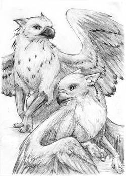 Zaer and Kalya, gryphon couple