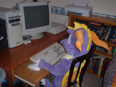 Spyro using the computer